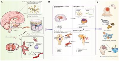 New perspectives on migraine treatment: a review of the mechanisms and effects of complementary and alternative therapies
